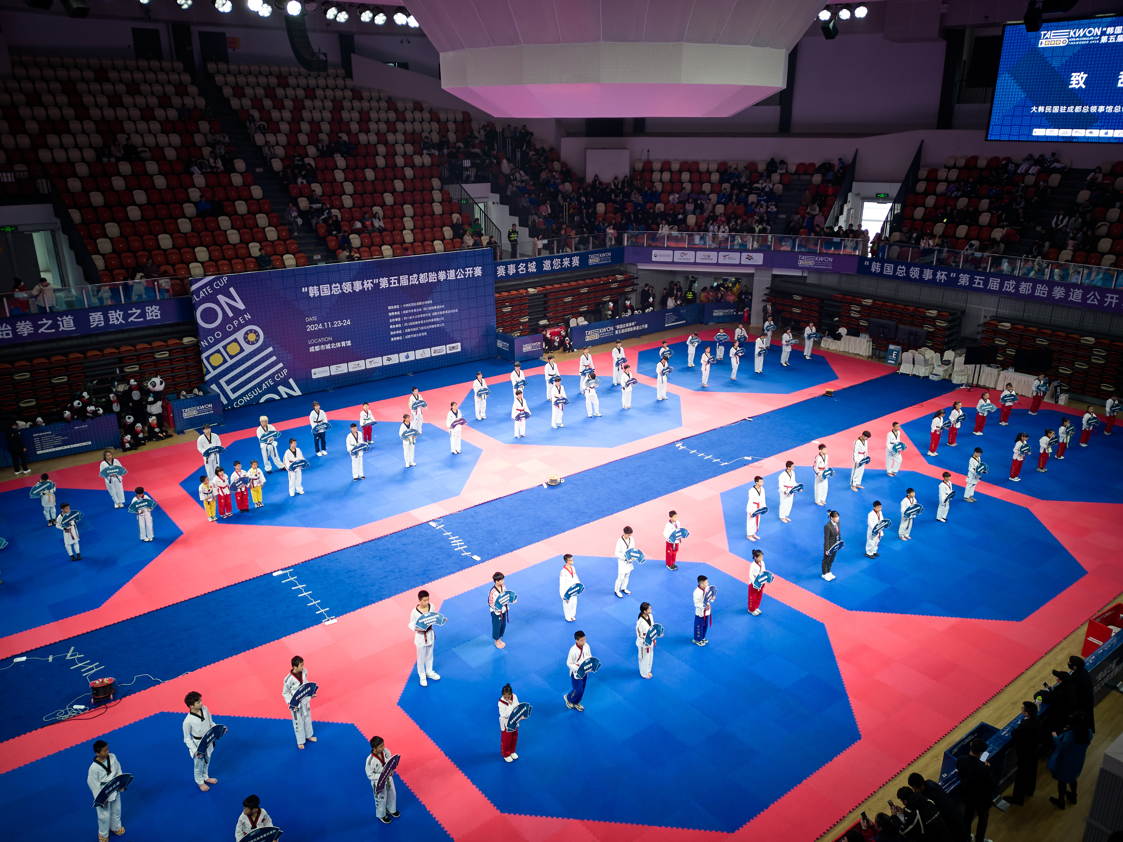 跆拳道女子比赛擂台，韩国选手实力斩获金牌！