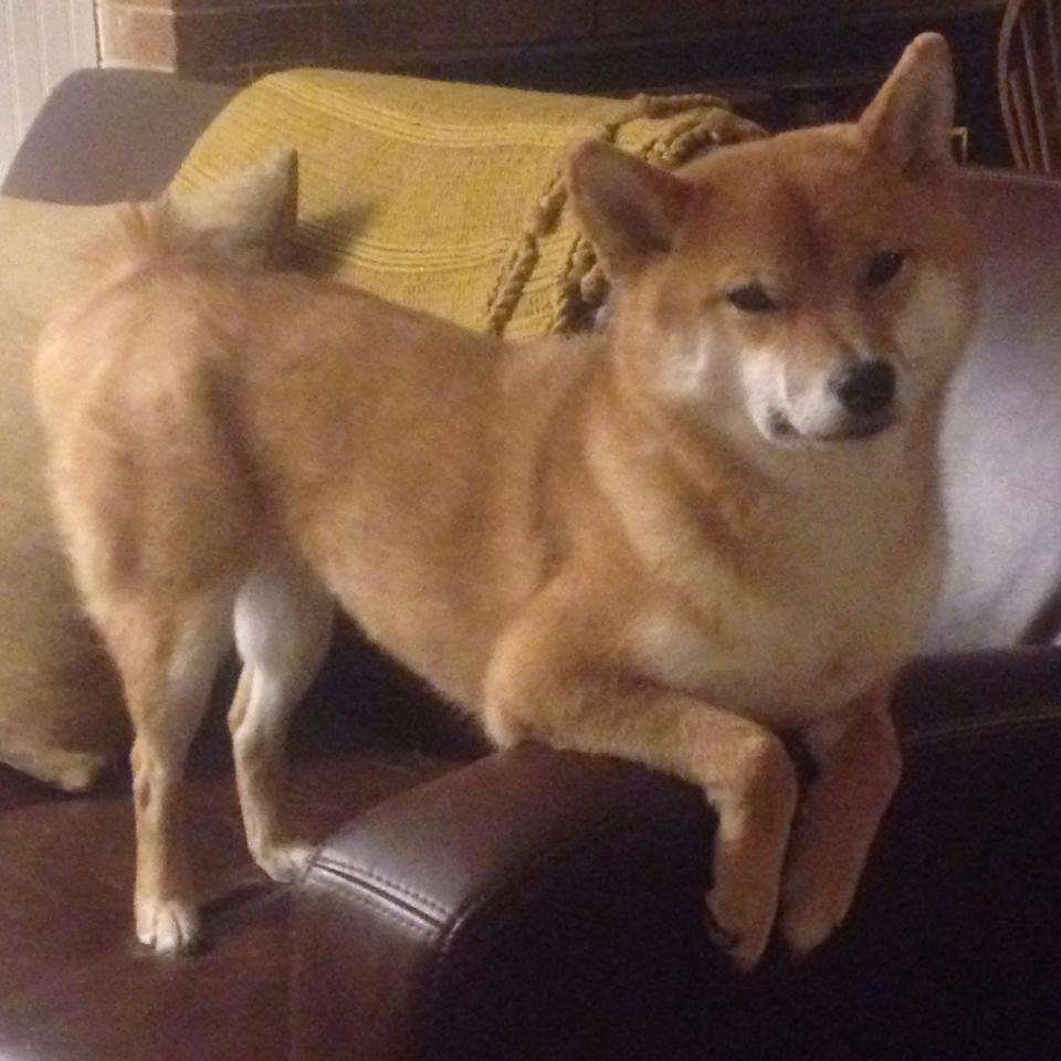 精密机器与街道诗人，当连续得分遇见绝对接管