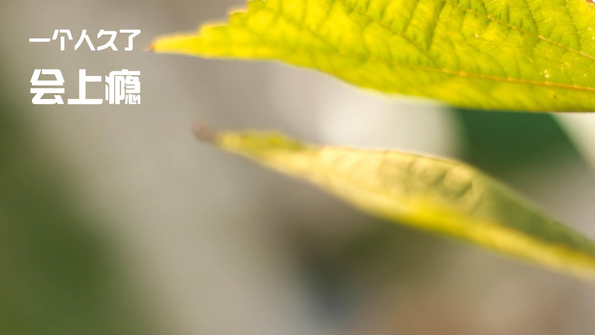 世界排名争夺战之夜，本泽马用实力铭刻传奇