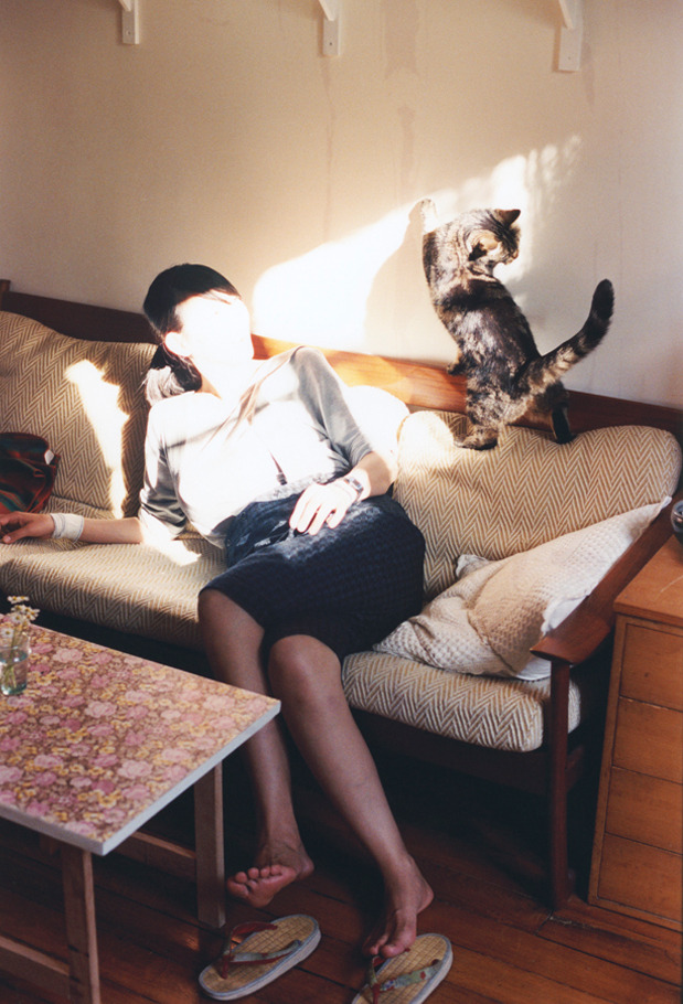 猛龙力克公牛展雄风，锡安美加墨世界杯接管比赛