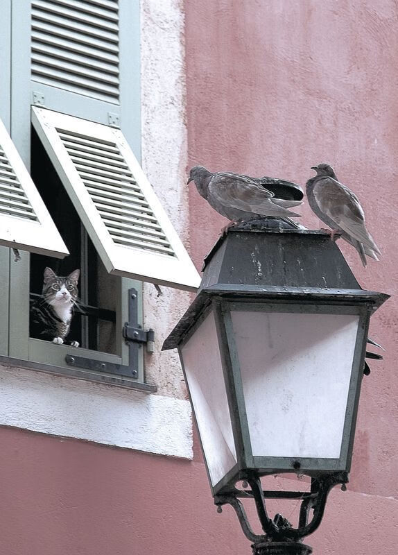 赛事风云，克罗地亚压制冰岛，梅西化身关键先生