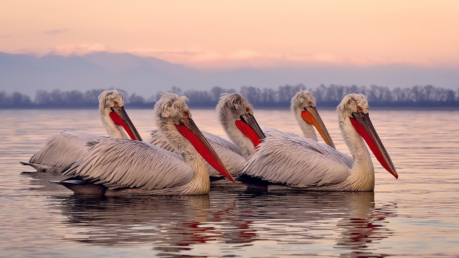 双城记,当阿森纳横扫利物浦,梅西在焦点之夜接管比赛