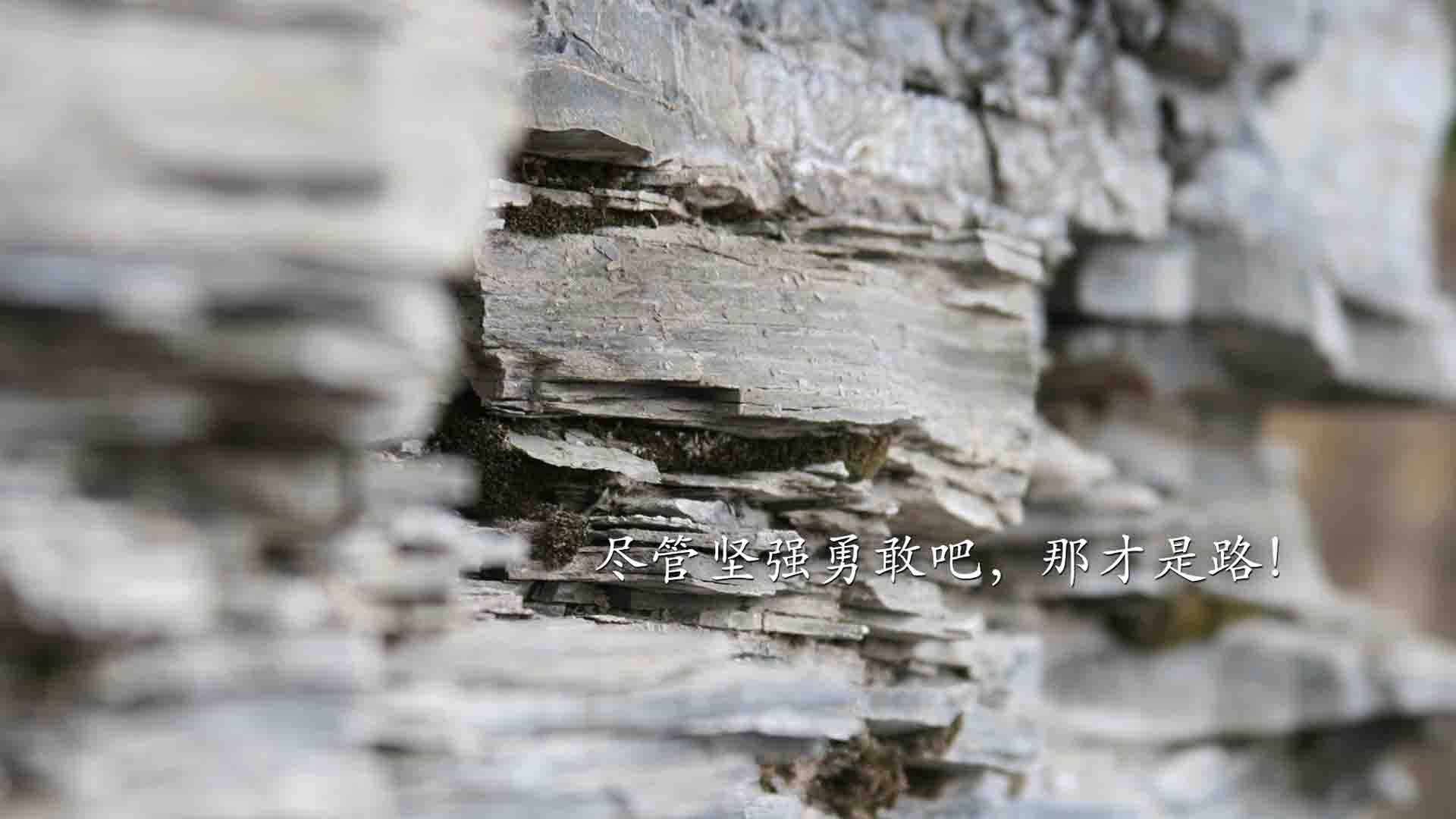 加维关键助攻引领战术革命，日本单节爆发拉开瑞典背后的足球哲学跃迁