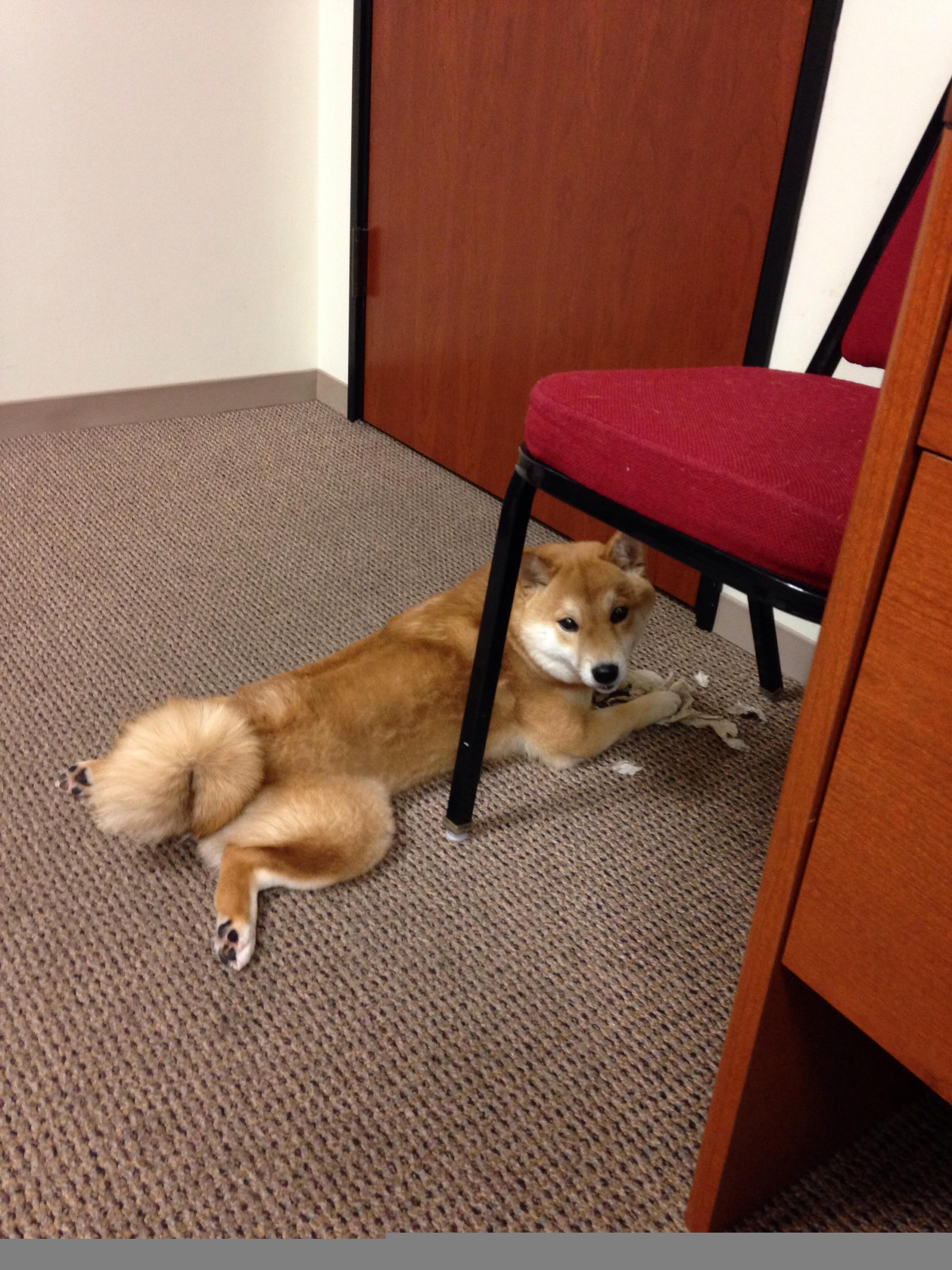 迪马利亚生涯之夜，马赛与厄瓜多尔的史诗对决