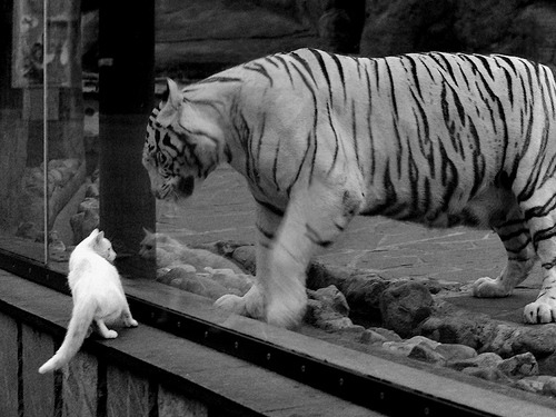 从边缘人到救世主,杰伦·格林一球定音,撕裂勇士围城