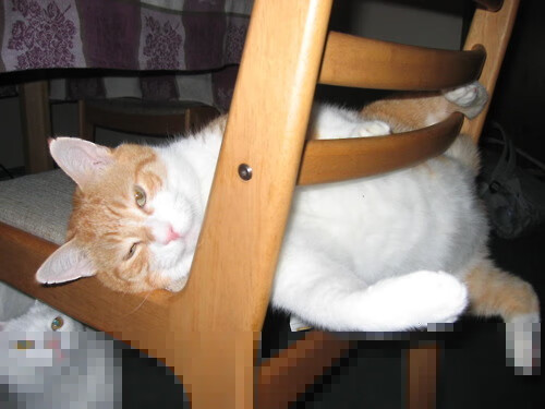 双线战场,德甲争冠烽火连天,AC米兰拿下卡塔尔开启资本新局