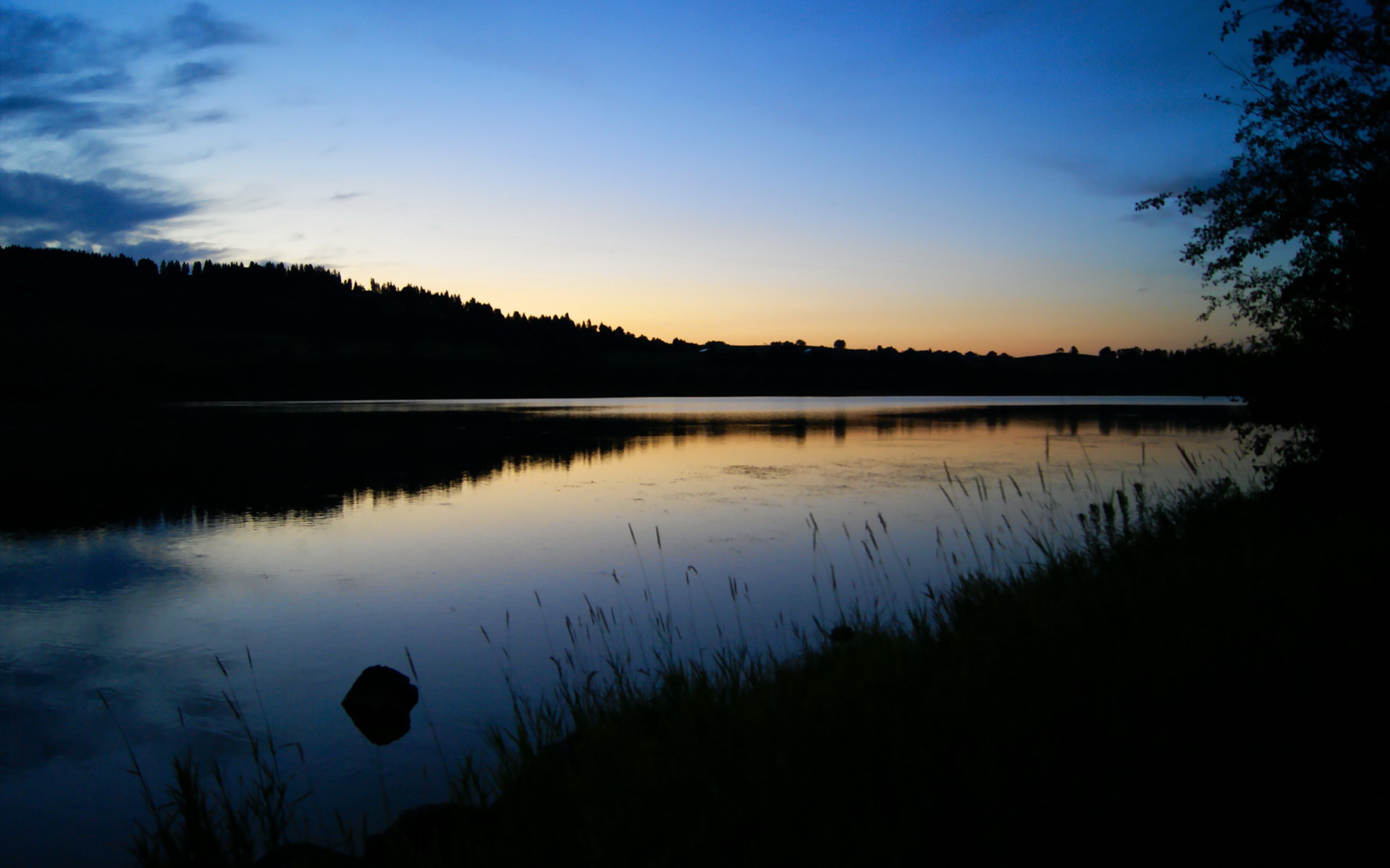 广东队创造历史!东决关键焦点战力斩凯尔特人