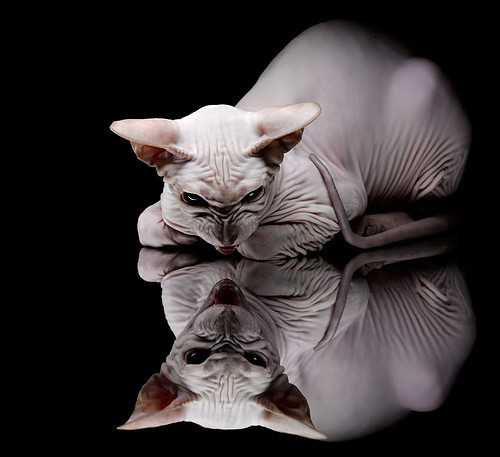 踏潮而来,威尔士以节奏利刃剖开卡塔尔防线