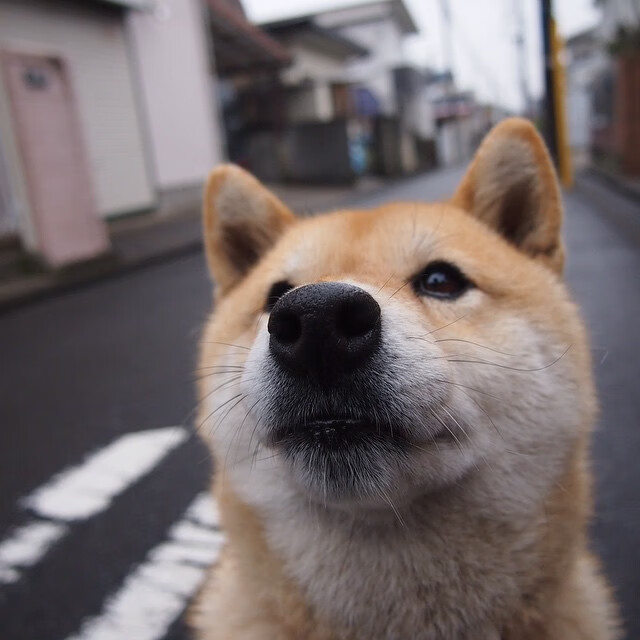 库里绝境火焰点燃王朝余烬！勇士浴血险胜尼克斯，季后赛残酷美学震撼上演